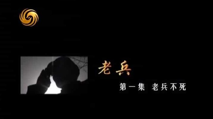 凤凰大视野《老兵》全10集 汉语中字 标清纪录片