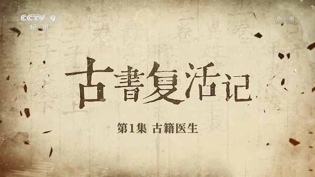 央视《古书复活记 2020》 汉语中字 1080i