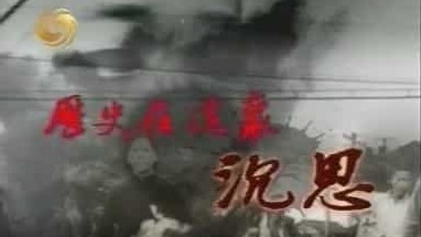 凤凰大视野《历史在这里沉思 2005》全5集 国语中字 标清 下载