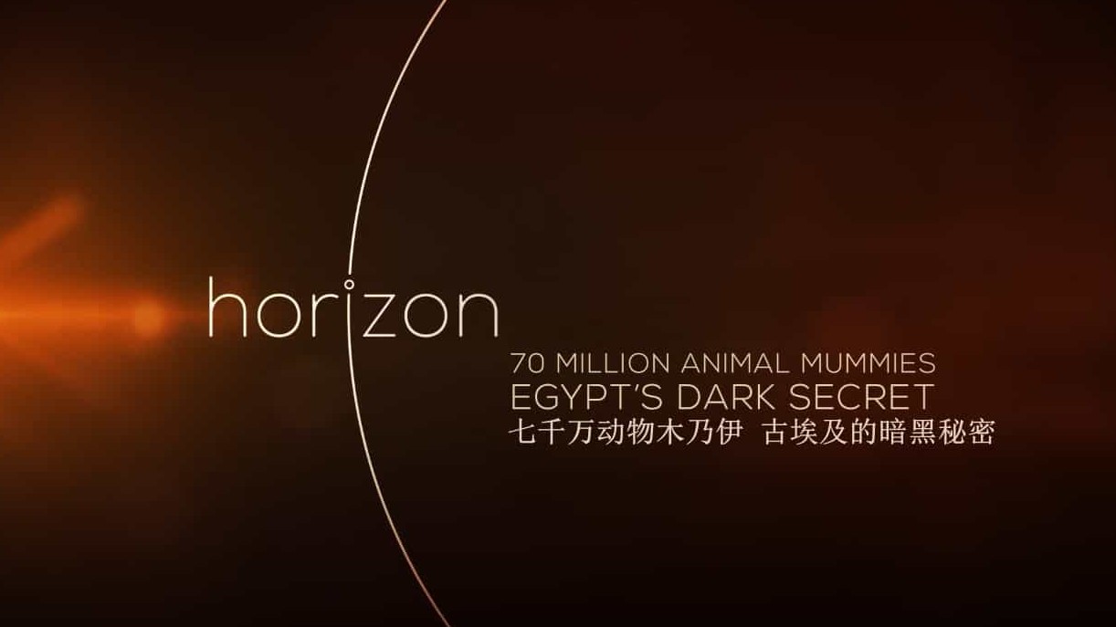 BBC纪录片地平线系列《七千万动物木乃伊 古埃及的暗黑秘密 70 Million Animal Mummies–Egypt’s Dark Secret 2015》英语内嵌中英双字幕 标清下载