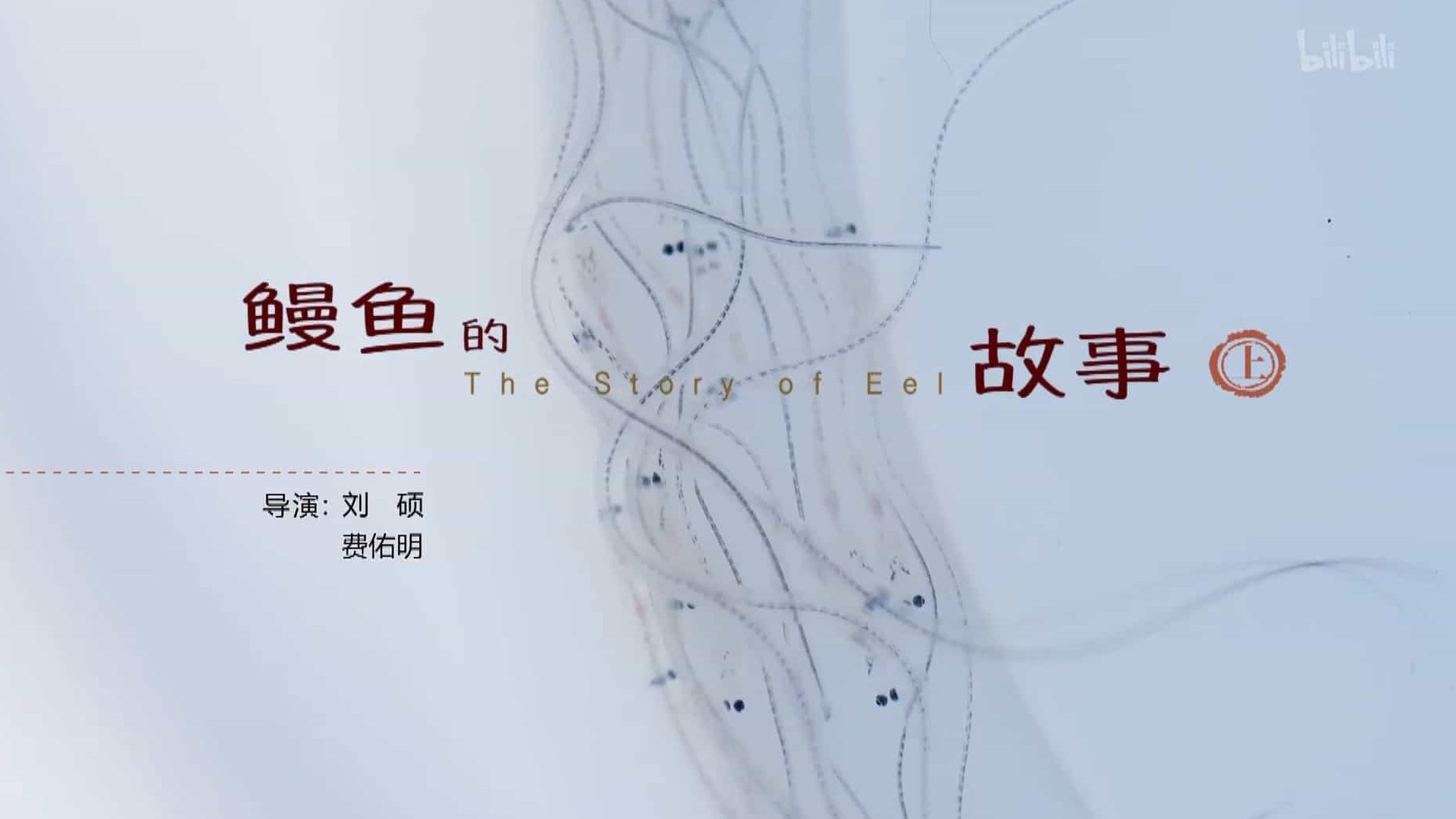 美食纪录片/世界美食系列《鳗鱼的故事 The Story of Eel 2019》全3集 国语中字 1080P高清下载