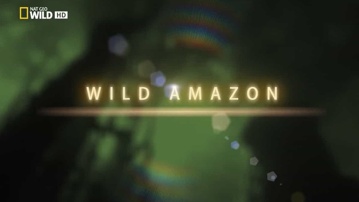 国家地理《野性亚马逊 Wild Amazon》全2集 英语外挂中字 720P高清下载