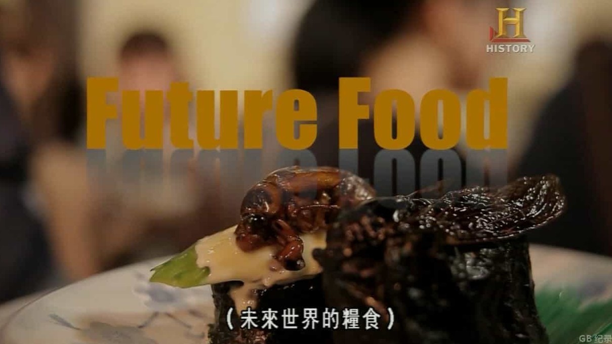 历史频道/世界美食系列《未来世界的粮食：昆虫 Future Food: Insects 2013》英语中字 720P高清下载