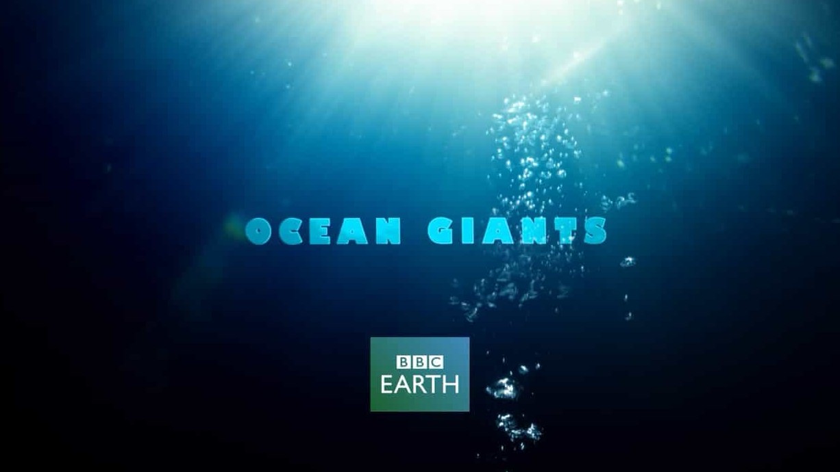 BBC海洋纪录片《海洋巨物 Ocean Giants 2011》全3集 60分钟英语中字 720P高清下载