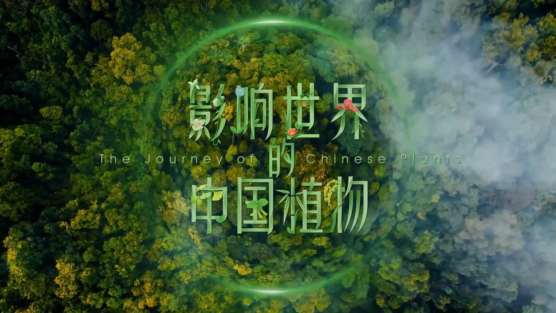 央视纪录片/ 植物纪录片《影响世界的中国植物 The Journey of Chinese Plants 2019》全10集 国语中字 1080P高清下载