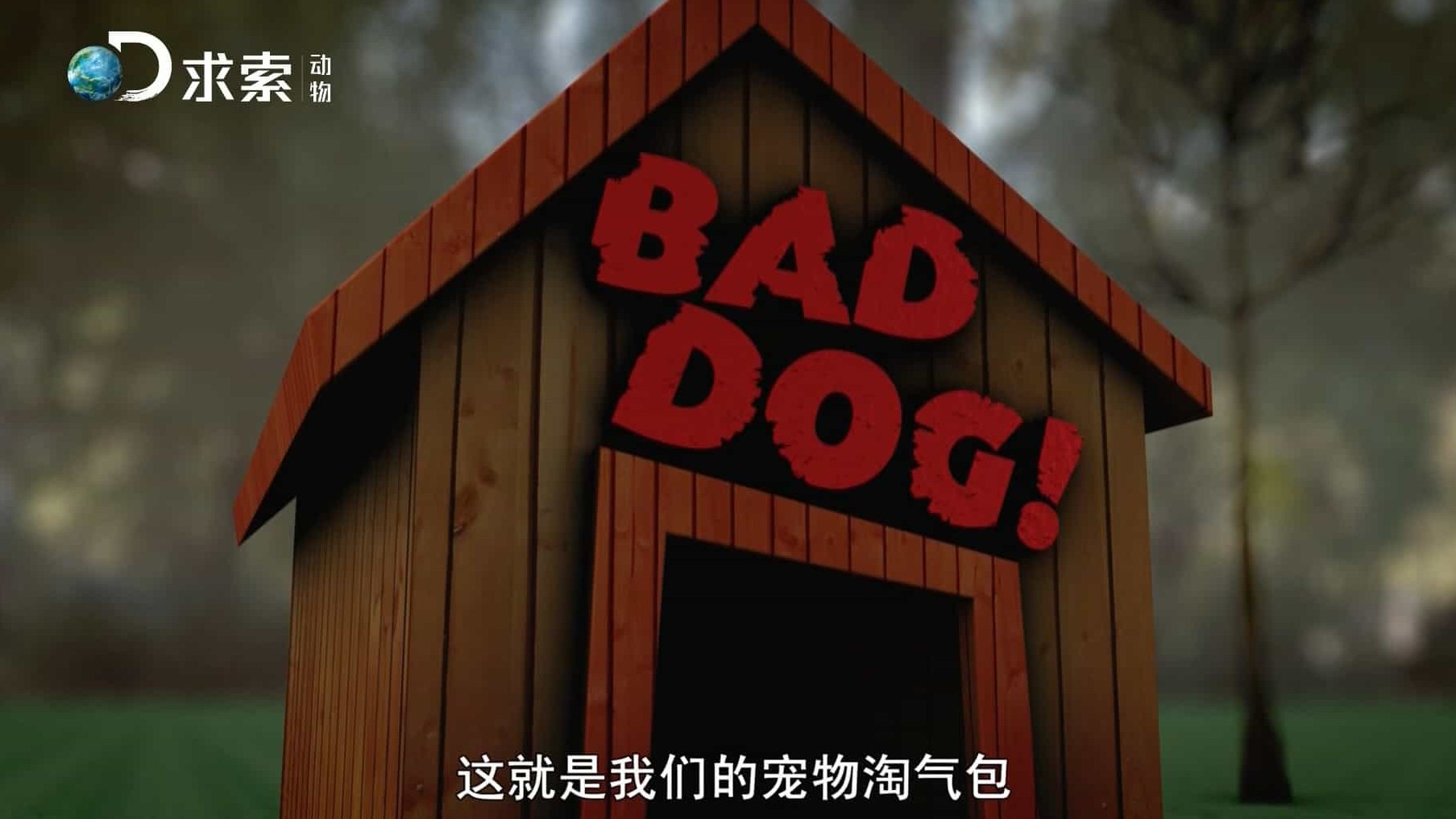 探索频道萌宠纪录片/萌宠系列《宠物淘气包/家有恶犬 Bad Dog! 》全5集 国语中字 1080i高清下载