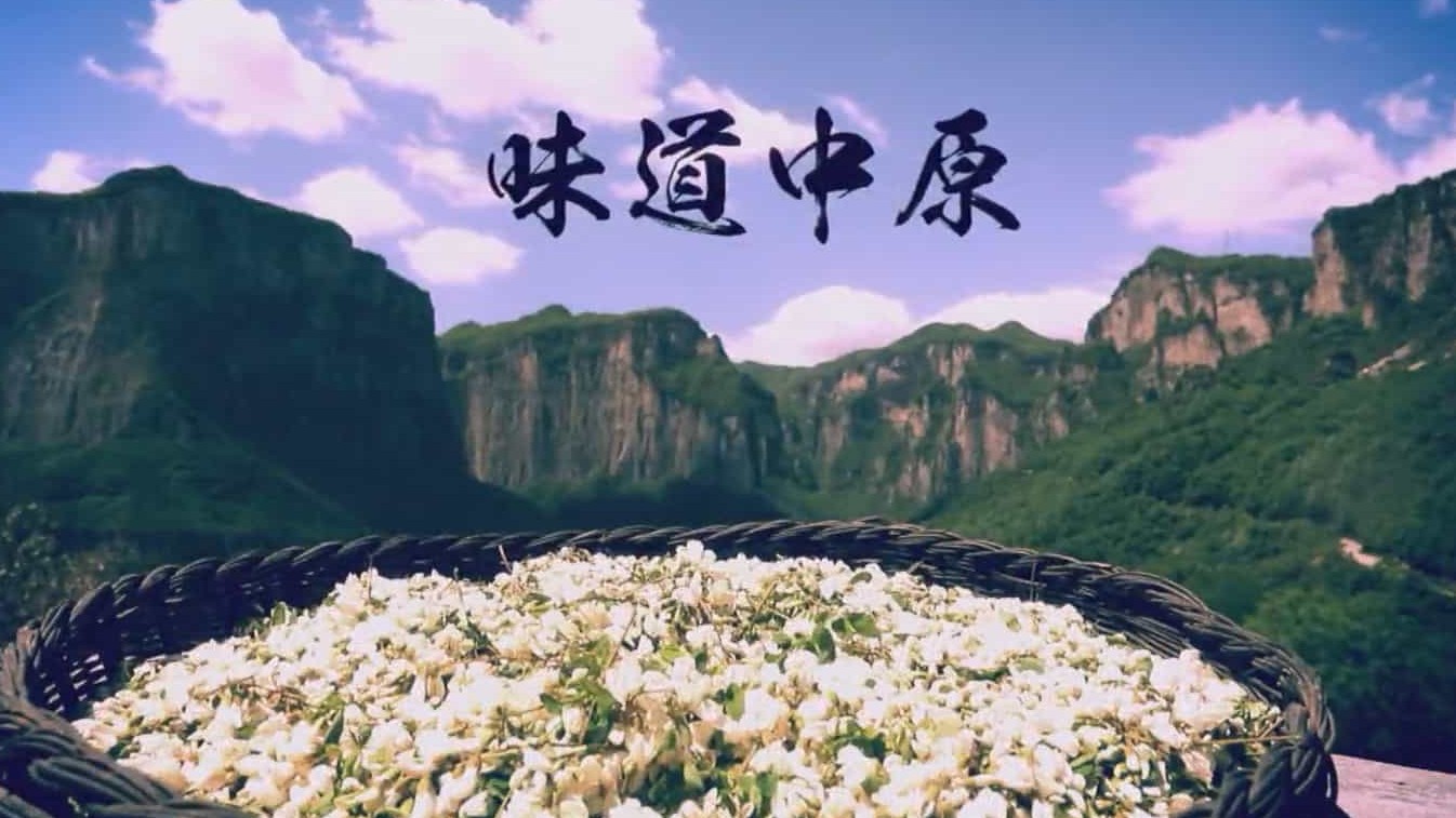 河南地方美食纪录片/中国美食系列《味道中原 2021》全40集 国语中字 720P高清下载