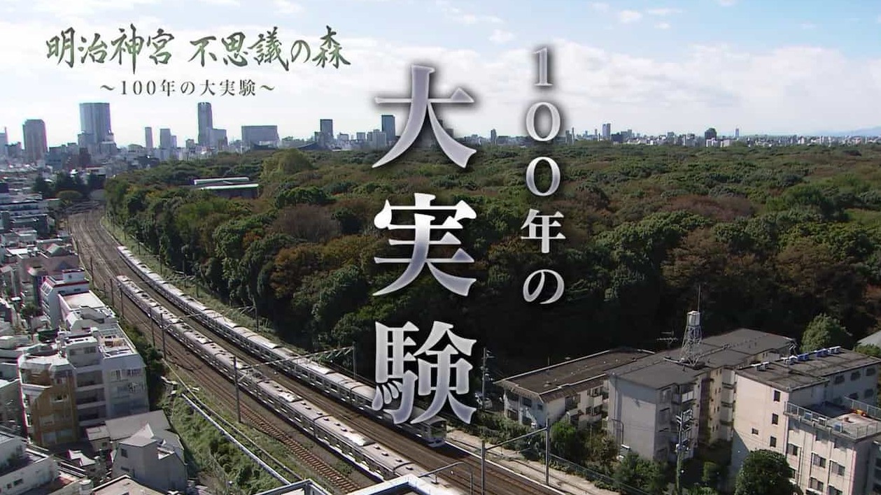 NHK纪录片《明治神宫 奇妙森林 百年大实验 2015》