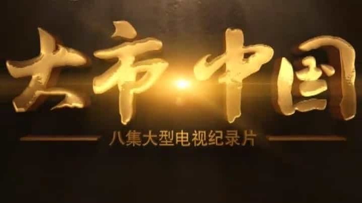 央视纪录片/财经纪录片《大市·中国 Big Market·China 2011》全8集 国语中文字 标清下载