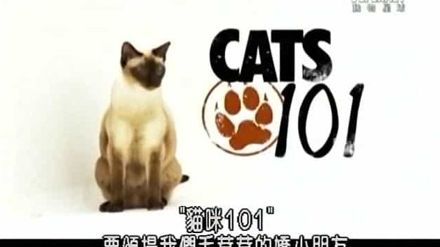 动物星球频道/ 猫咪速成班/萌宠系列《猫咪101 Cats 101》全集 第1-4季 17集/英语中字  标清下载