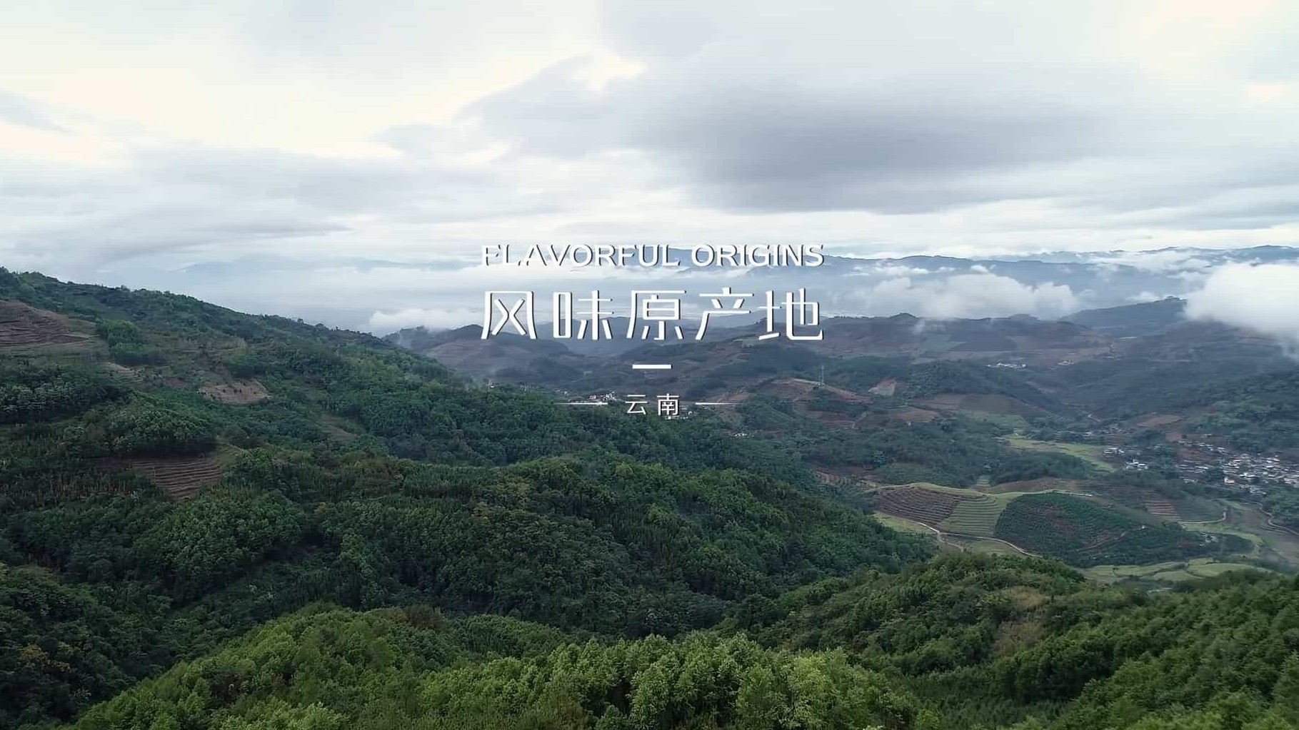 美食纪录片/世界美食系列《风味原产地·云南 Flavorful Origins: Yun Nan 2019》全10集 国语中字 1080P高清下载