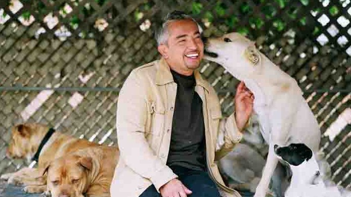 狗狗纪录片/萌宠系列《报告狗班长/狗语者 Dog Whisperer with Cesar Millan》 英语中字 标清下载