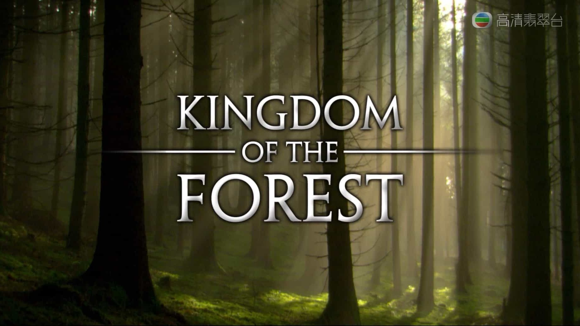 国家地理频道《森之秘境 Kingdom Of The Forest 2012》全1集 粤英双语中字 1080P高清下载