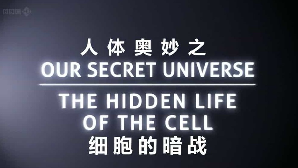 BBC纪录片/关于病毒入侵的故事_细胞的生死之战《人体奥妙之细胞的暗战 Our Secret Universe:The Hidden Life of the Cell 2012》全1集 英语内嵌中英双字 720p高清下载