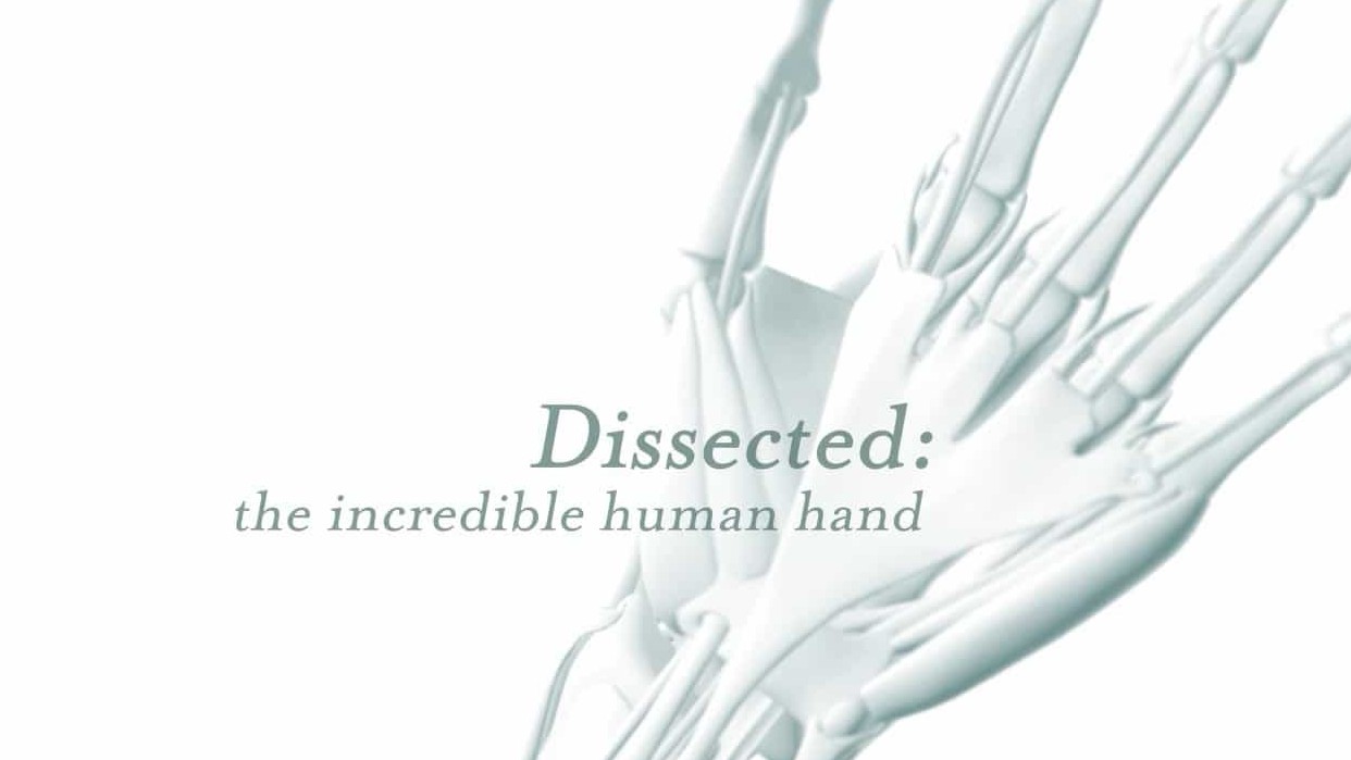 BBC纪录片/人体探索纪录片《剖析手足—不可思议的人体 Dissected The Incredible Human 2014》 全2集 英语英字 720P高清下载 