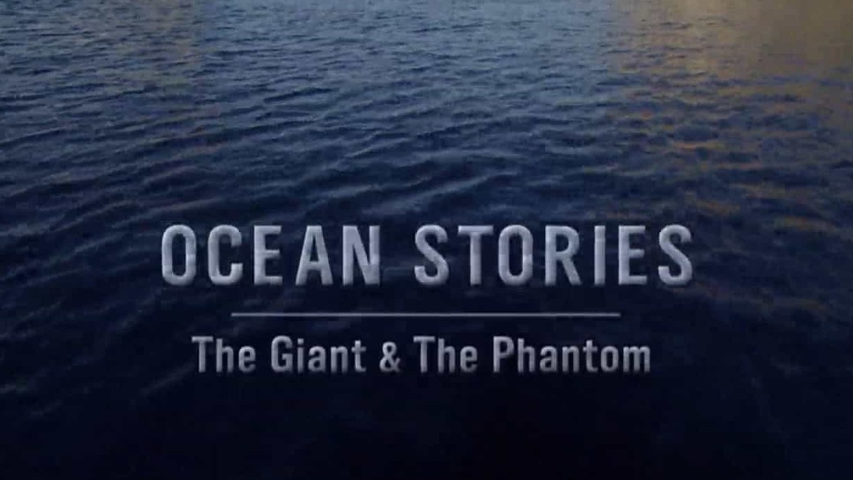 ZDF纪录片《海洋故事 Ocean Stories 2015》全3集 英语英字 720P高清下载 