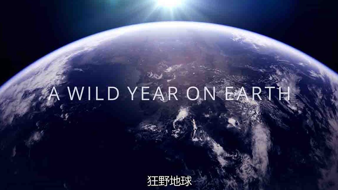 精选系列/BBC纪录片/地球四季《狂野地球/地球上狂野一年 A Wild Year on Earth》全6集 国英双语中英双字 4K超高清下载