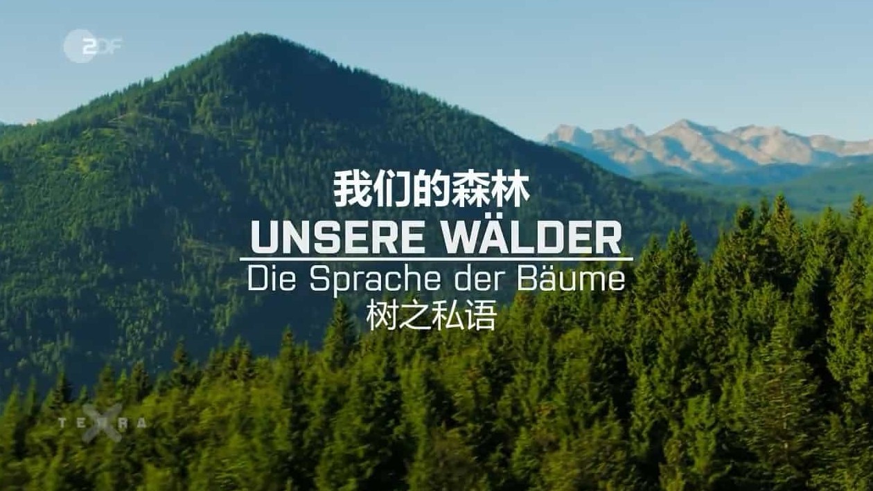 德国ZDF纪录片《我们的森林 Unsere Walder 2017》全3集 德语内嵌中德双字幕 720P高清下载