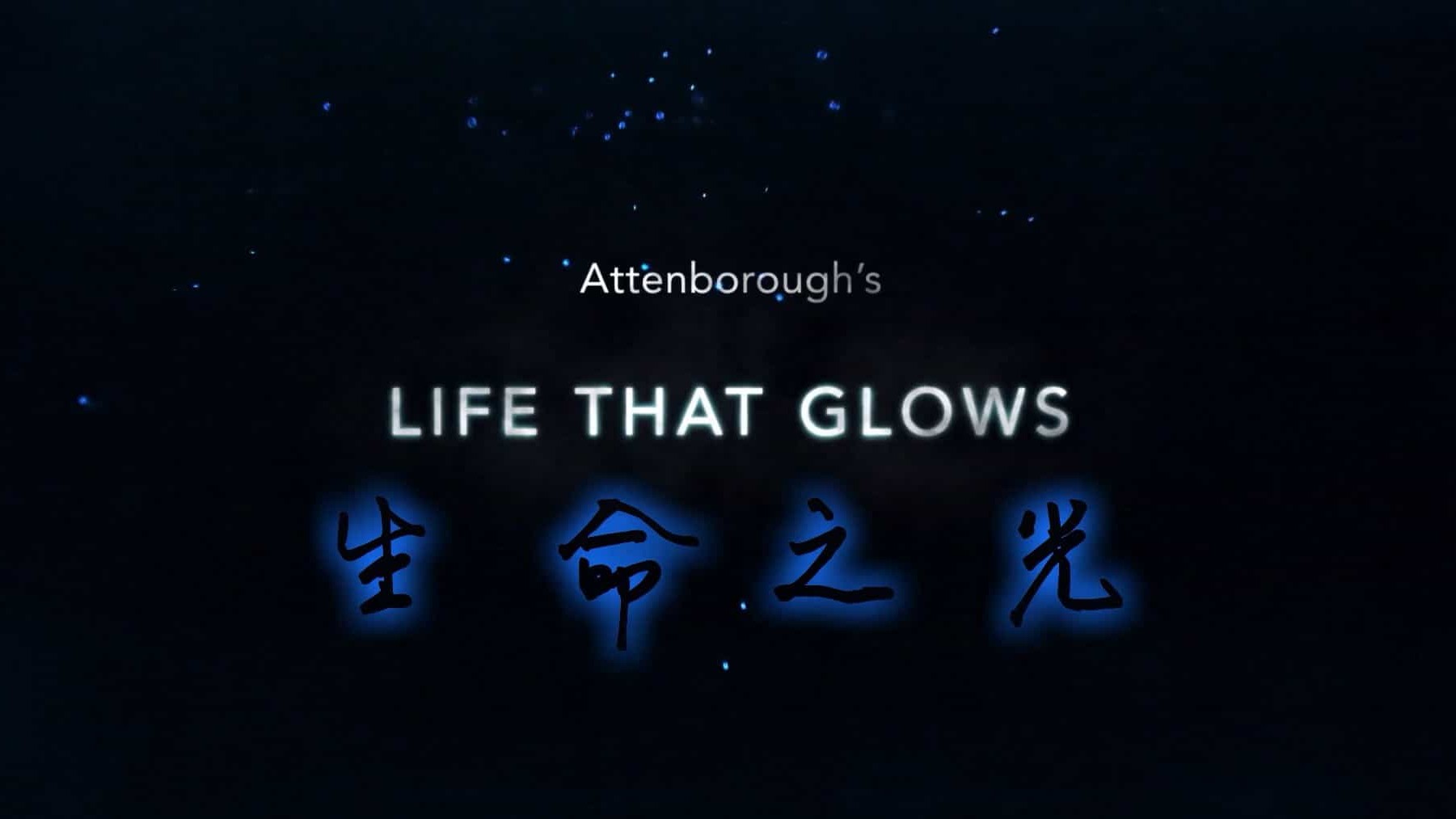 BBC纪录片《爱登堡讲述生命之光 Attenborough’s Life That Glows》全1集 英语中字 720P高清网盘下载 