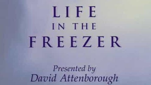 BBC纪录片《冰雪的童话 Life In the Freezer 1993》全六集 英语中字 标清网盘下载