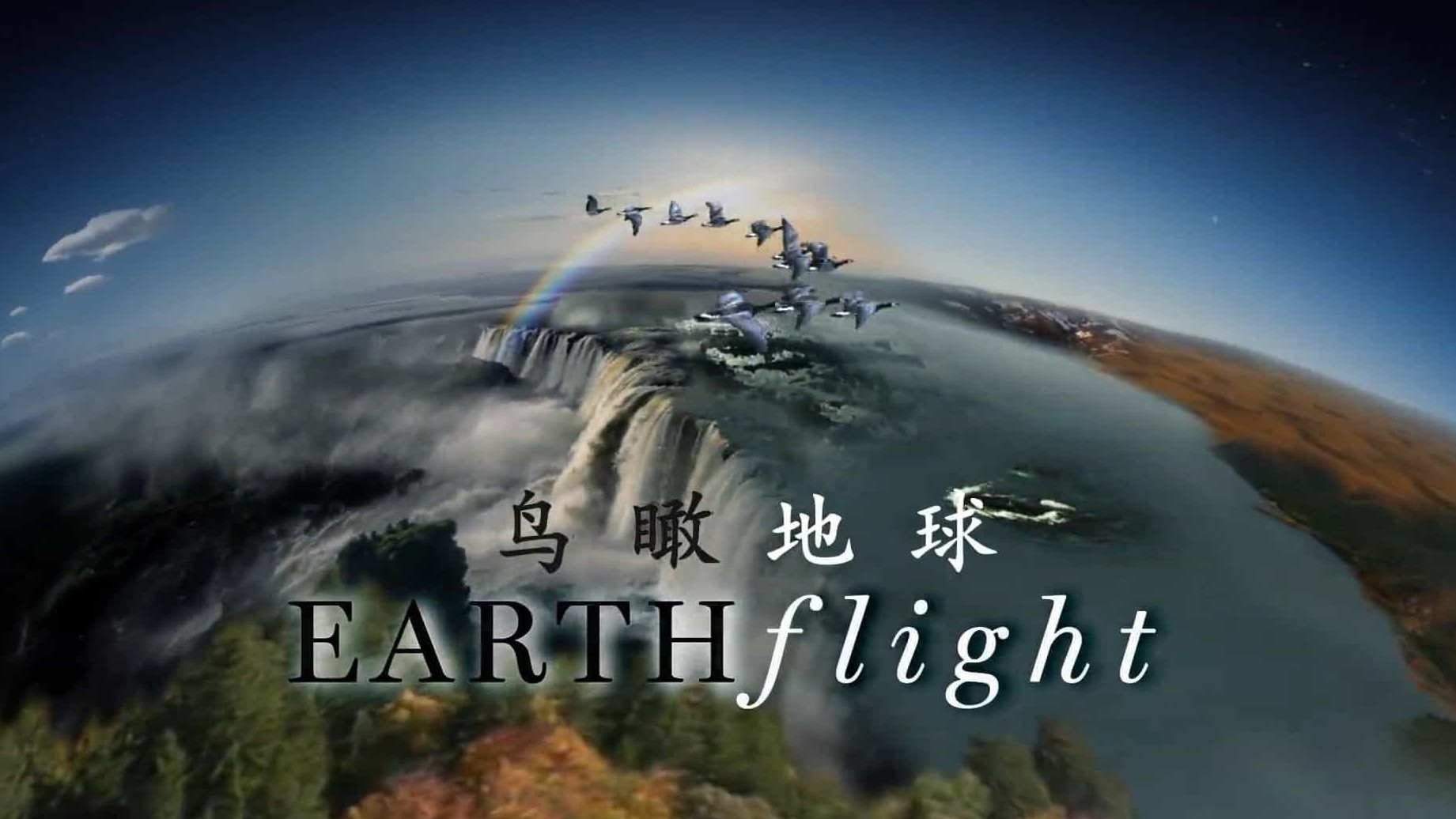 BBC纪录片《飞越地球/鸟瞰地球 Earthflight》全6集 英语中字 1080P高清网盘下载 