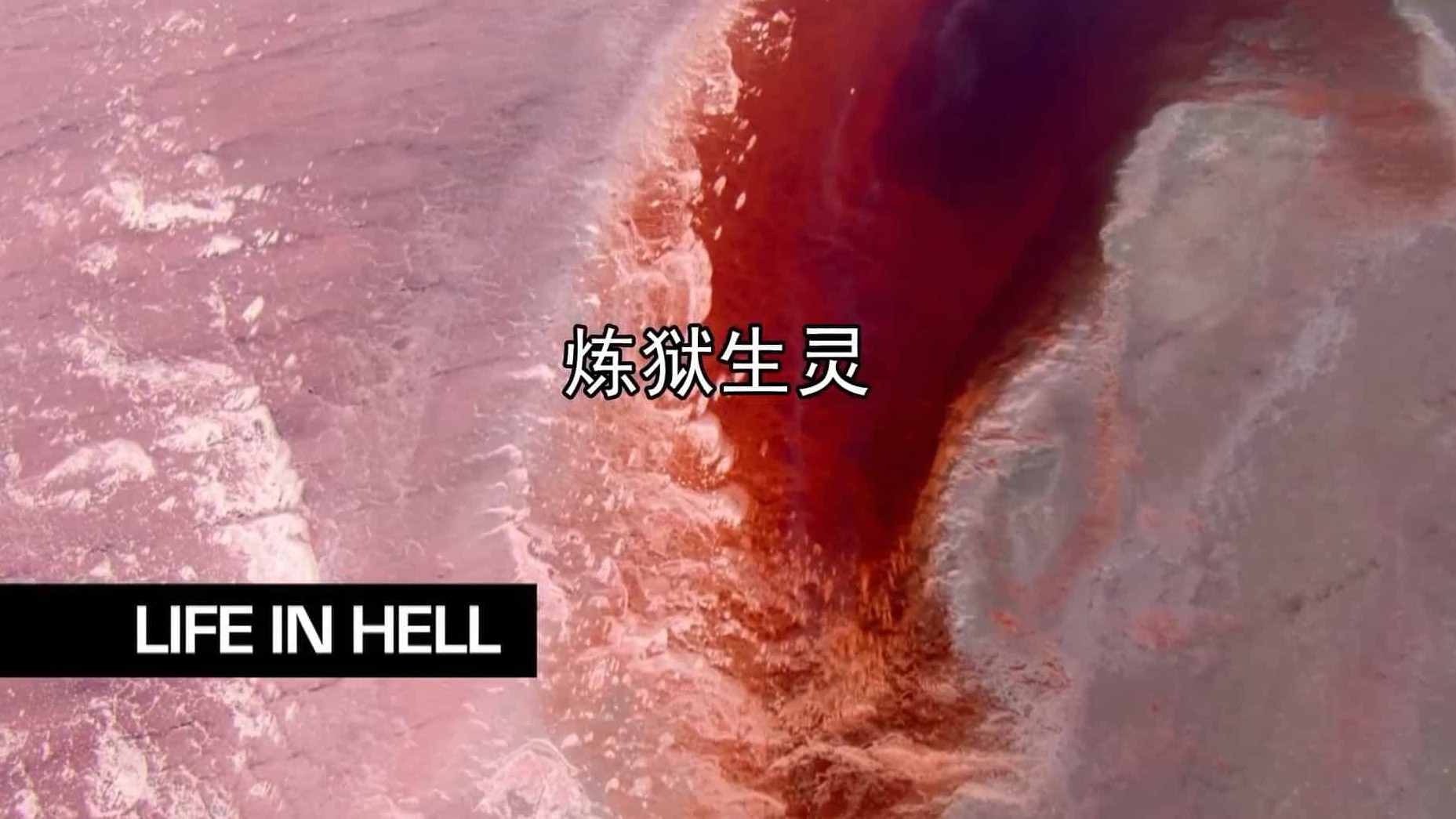 BBC纪录片《炼狱生灵/地狱中的生命 Life in Hell - Extremophile》全4集 英语中字 1080P高清网盘下载