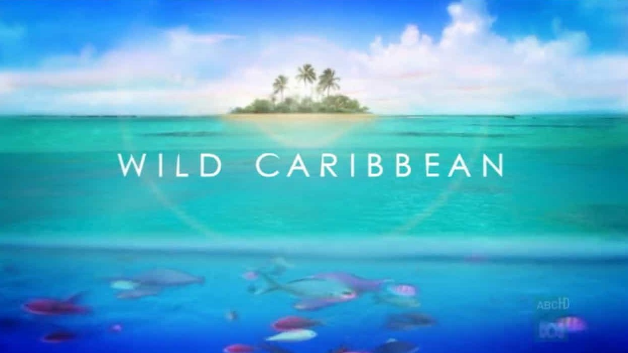 BBC纪录片《野性加勒比 Wild Caribbean》全4集 英语中字 720P高清网盘下载 