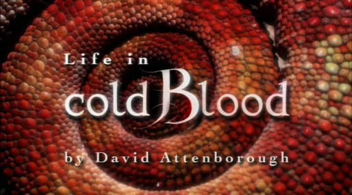 BBC冷血动物纪录片《冷血生命/冷血动物面面观 Life In The Cold Blood》全5集 英语中字 标清网盘下载