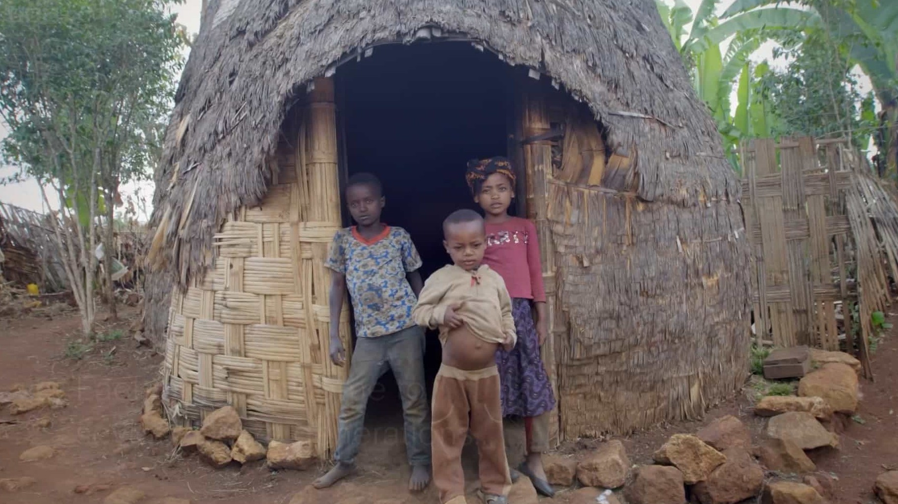 BBC纪录片《非洲手工制作 Handmade in Africa 2020》全1集 英语英字 1080P高清下载  