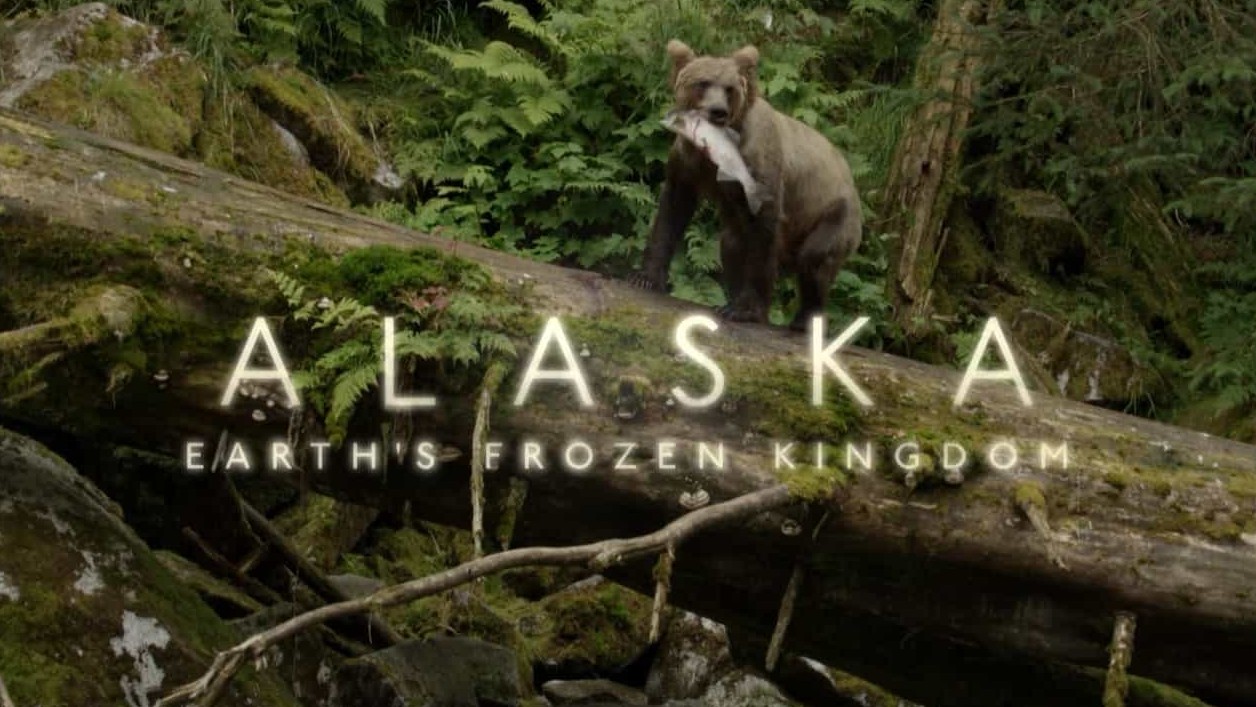 BBC纪录片《阿拉斯加:地球上的冰冻王国 Alaska Earth’s Frozen Kingdom》全3集 英语英字 720P高清网盘下载