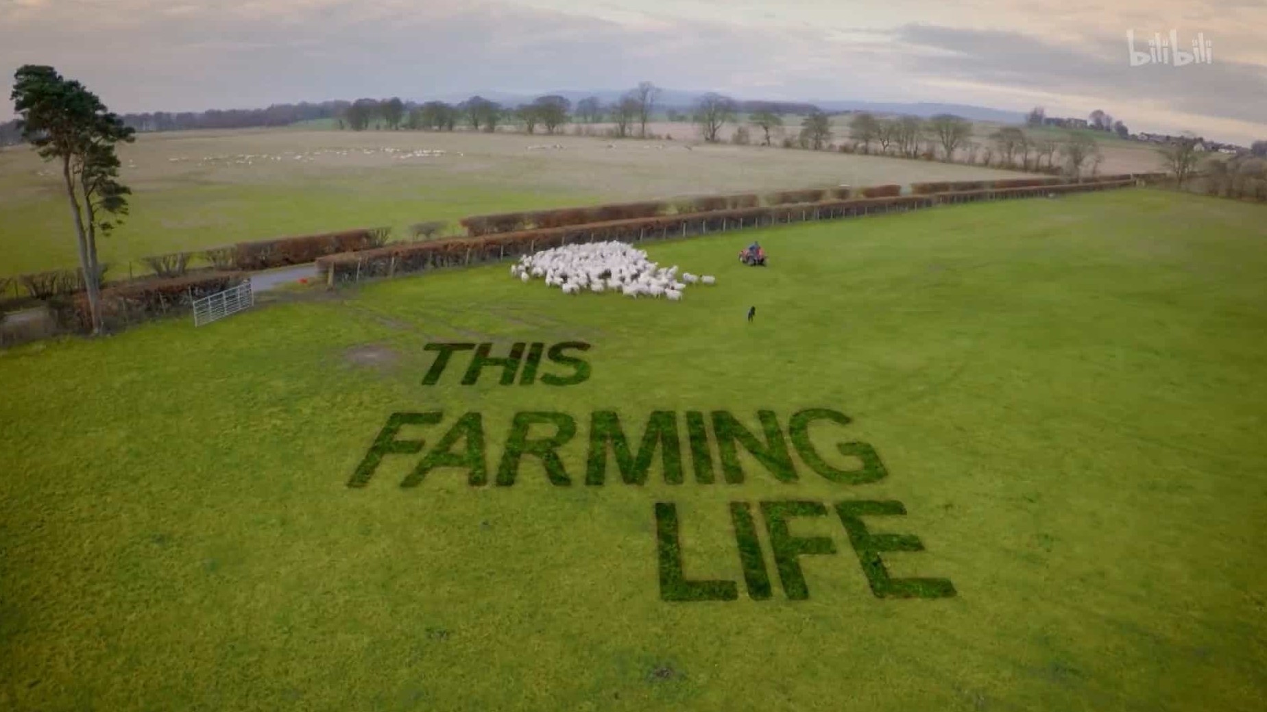 BBC纪录片/英国最美乡村生活《农耕生活 This Farming Life》全12集 英语中字 1080P高清下载