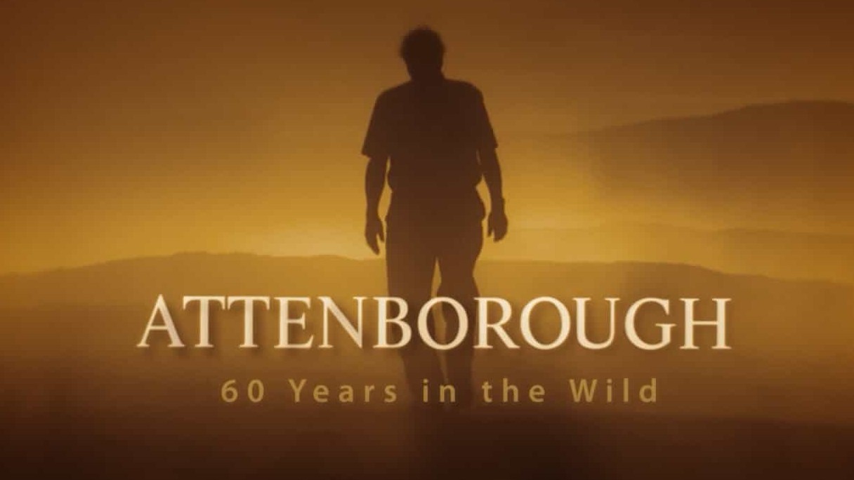 BBC纪录片《大卫·爱登堡野外探索60年/BBC生態60年 Attenborough 60 Years in the Wild》 全3集 英语中英双字 720P蓝光网盘下载