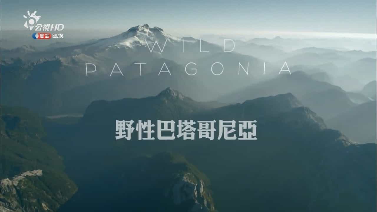 BBC纪录片《野性巴塔哥尼亚 Wild Patagonia》全3集 英语繁中 1080P高清网盘下载