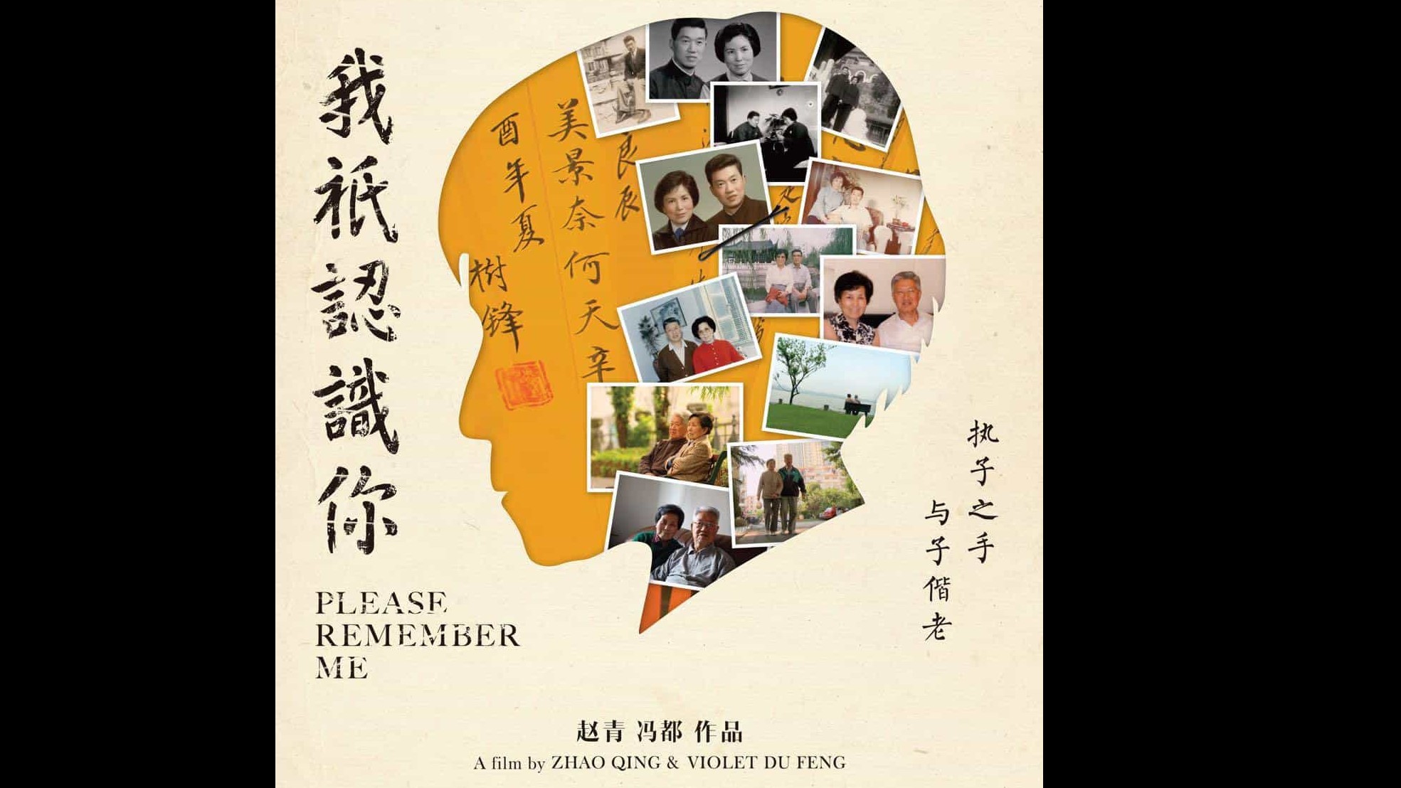 国产纪录片《我只认识你 Please Remember Me 2015》国语中英字 1080P高清下载