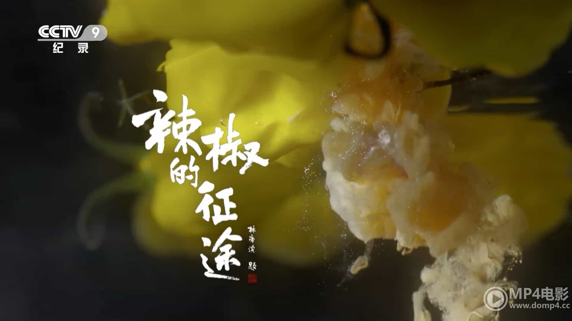 央视纪录片《辣椒的征途 2022》全6集 国语中字  1080P高清网盘下载