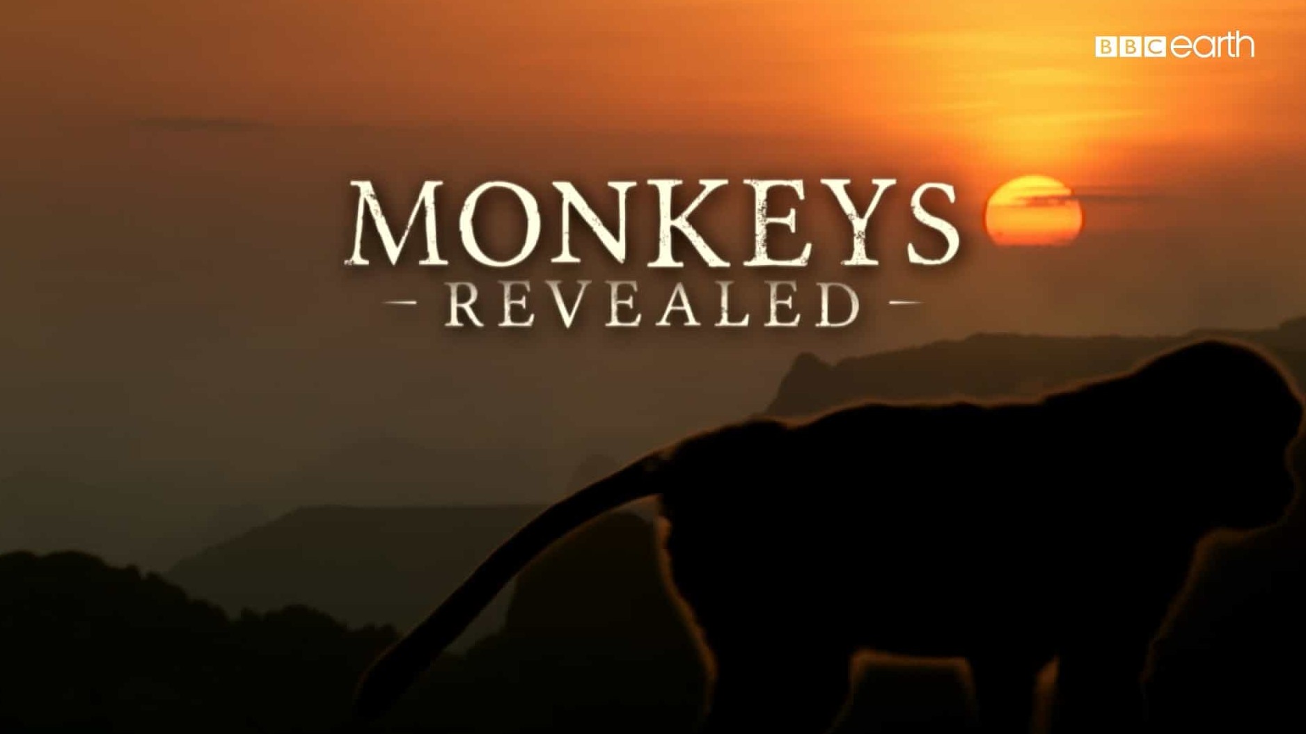 精选系列/BBC纪录片《猴子揭秘/猴子大观 Monkeys Revealed》全3集 英语中字 1080P高清网盘下载