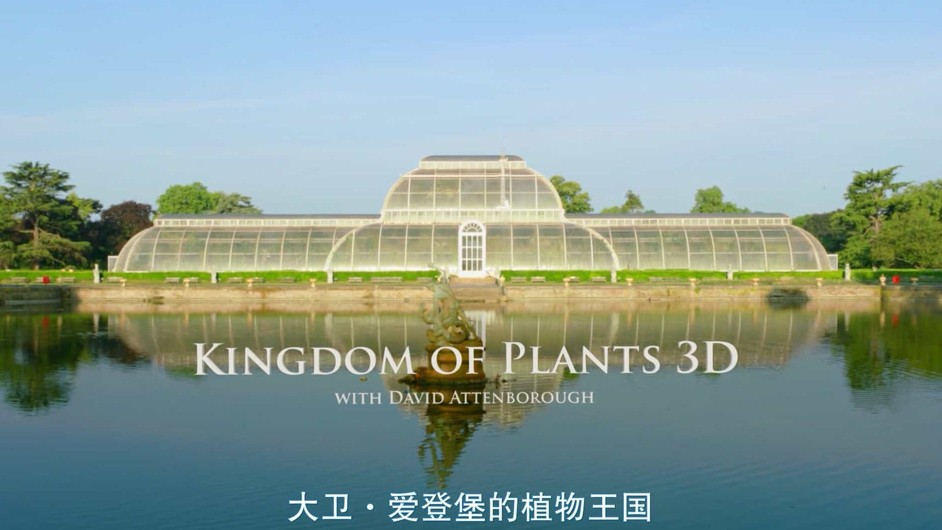 BBC纪录片《植物王国 Kingdom of Plants》全3集 英语双字 1080P高清网盘下载