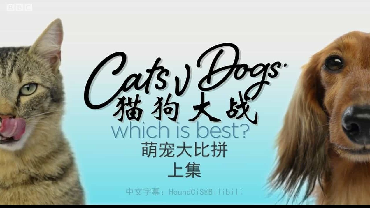 BBC纪录片/萌宠系列《喵汪大比拼 Cats v Dogs: Which is Best》全2集 英语中英双字 720P高清网盘下载