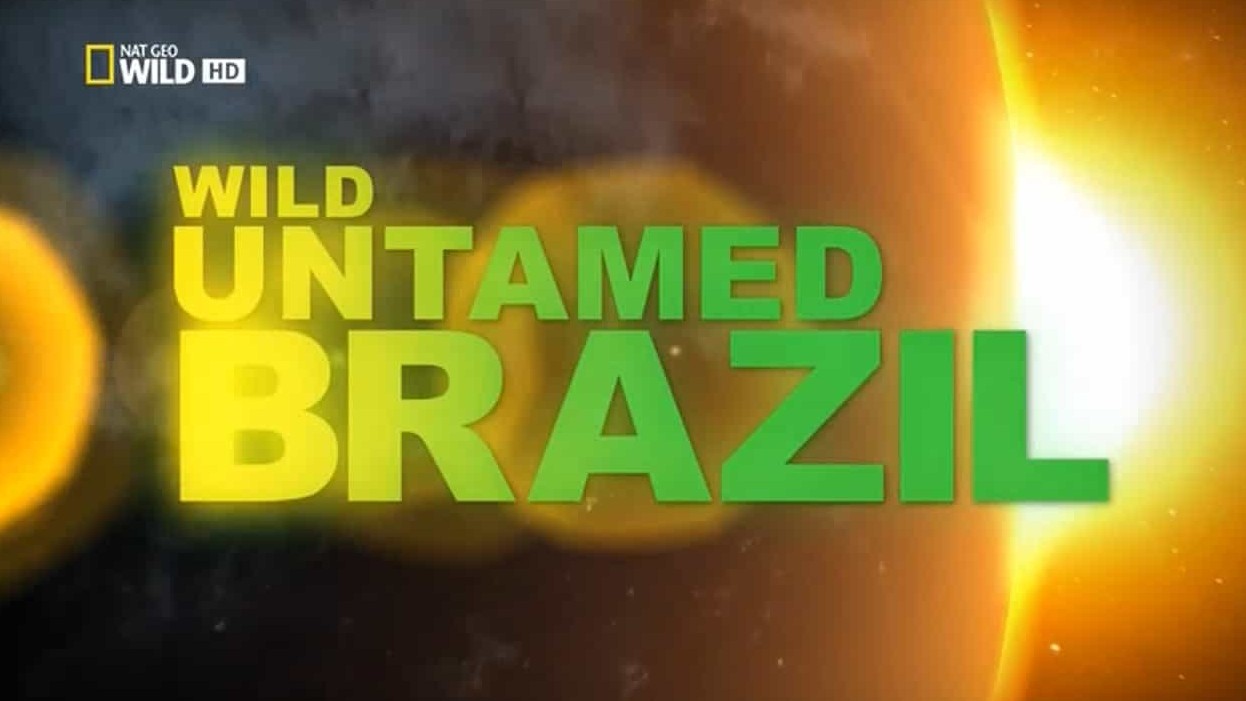 BBC纪录片《野性巴西/狂野巴西 Wild Brazil》全3集 中英双字 720P高清网盘下载 