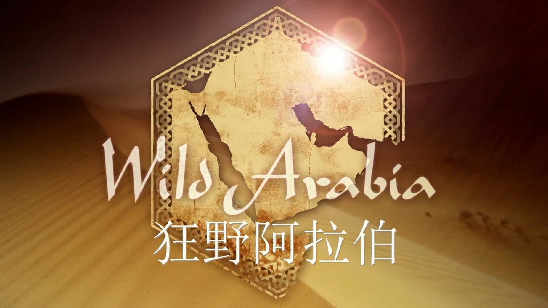 精选系列/BBC纪录片原版《野性阿拉伯/狂野阿拉伯 Wild Arabia》全3集 英语中字 1080P高清网盘下载