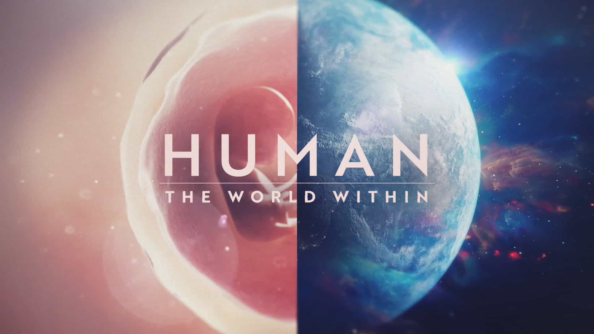 精选系列/Netflix纪录片《人类：体内的世界/人体运作原理 Human: The World Within 2021》全6集 英语中字 1080P高清下载