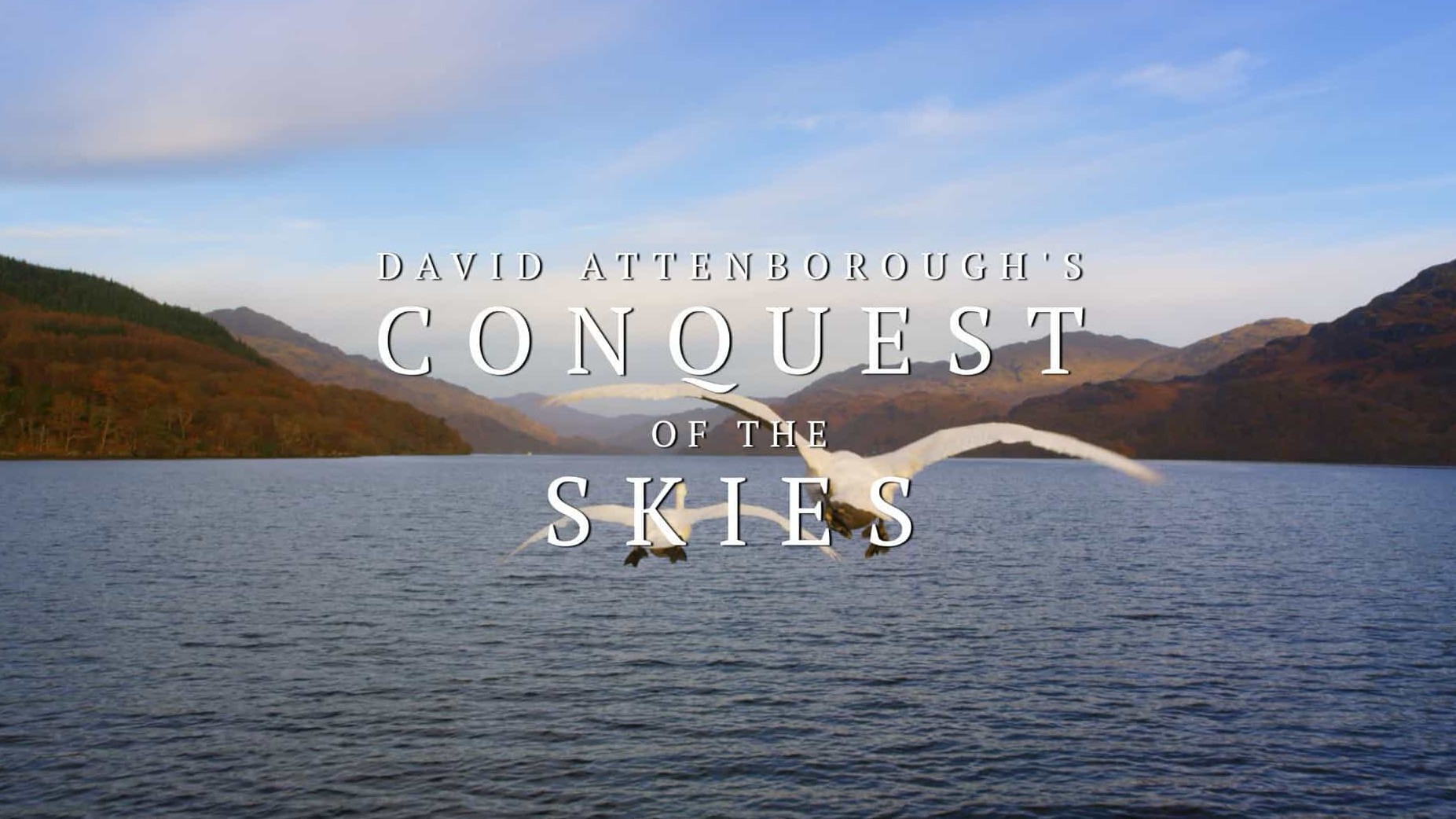 BBC纪录片《征服天穹/大卫·爱登堡之征服天空 David Attenborough’s Conquest of the Skies 2015》全3集 英语中英双字  1080P高清网盘下载