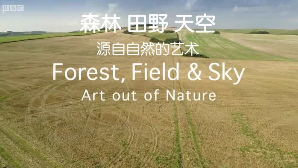 BBC纪录片《森林 田野 天空 源自自然的艺术 Forest, Field & Sky: Art out of Nature》全1集 英语中字  720P高清网盘下载