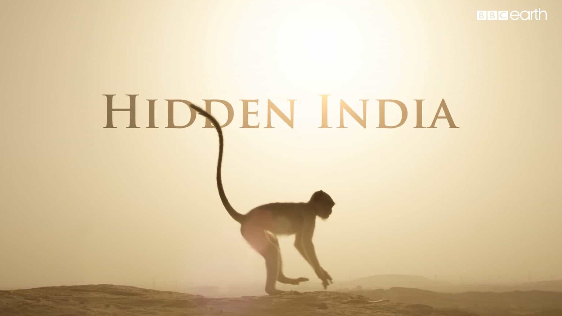 BBC纪录片《 隐秘的印度/隐藏的印度 Hidden India》第1季 全3集 英语中字 1080P高清网盘下载 