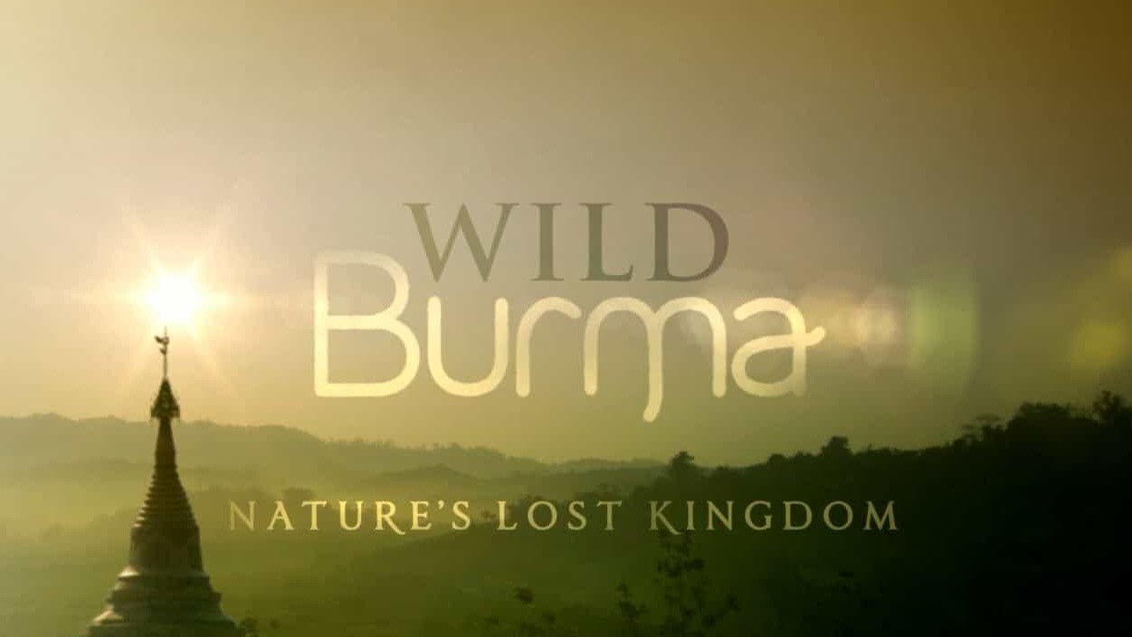 BBC纪录片《野性缅甸-失落的自然王国 Wild Burma: Nature’s Lost Kingdom》全3集 英语中字 720P高清网盘下载 