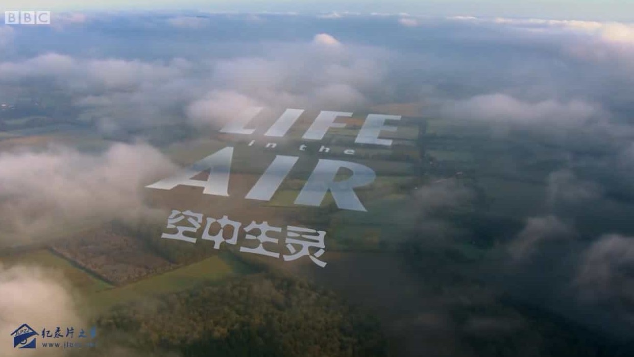 BBC纪录片《空中生灵/空中的生命 Life in the Air》全3集 英语中字 720P高清网盘下载