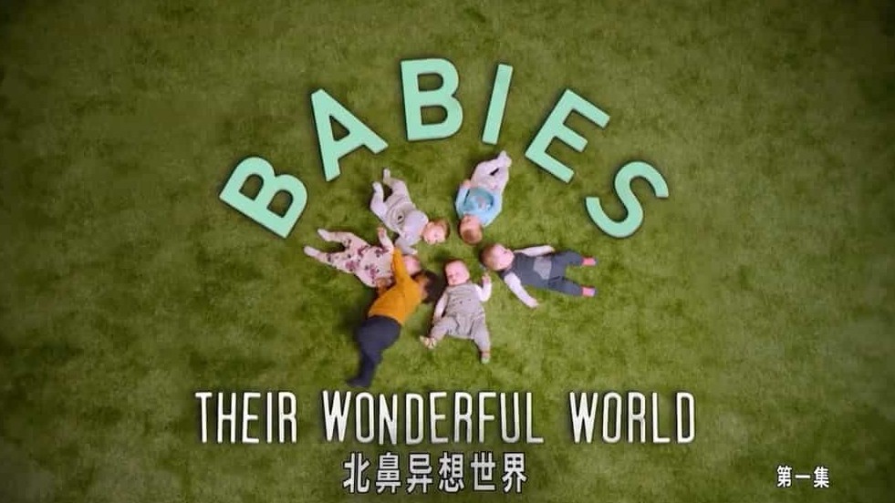 BBC纪录片《北鼻异想世界/BB的小宇宙 The Wonderful World of Babies》全3集 英语中英双字 720P高清网盘下载