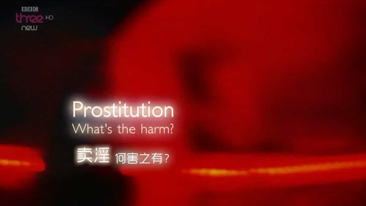 BBC纪录片《色情产业的危害/卖淫：有什么危害？ Prostitution What