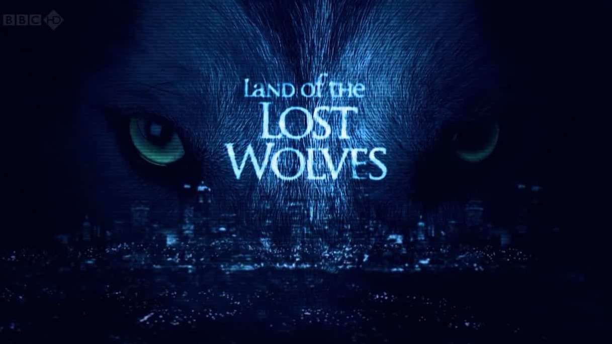 BBC纪录片《狼群失落之地/狼群 失落的领地  Land of the Lost Wolves》全2集 英语双字 720P高清网盘下载