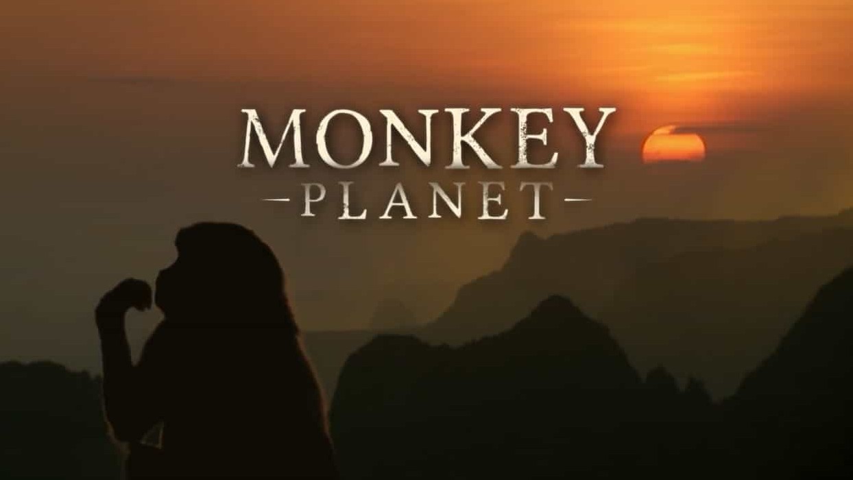 BBC纪录片《灵长星球/猩猿星球 Monkey Planet》全3集 英语中字 720P高清网盘下载 